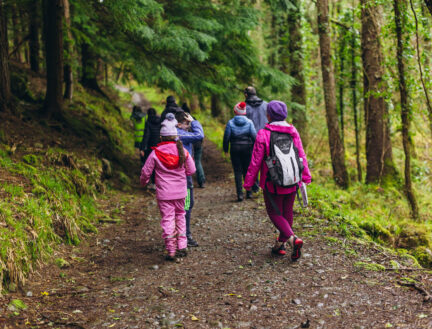 Family enjoys forest walk near Killarney, surrounded by lush greenery and tall trees.