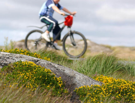 A person cycling through scenic green hills near Killarney, surrounded by wildflowers.