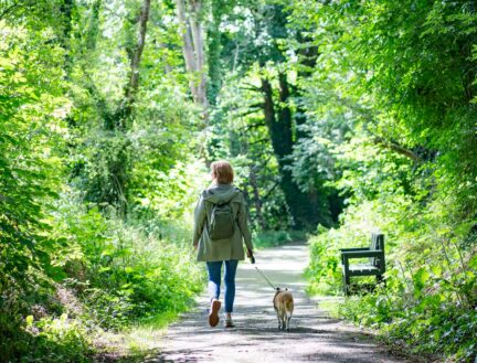 A person enjoys a peaceful walk with a dog on a lush, green path near Park Place Apartments, Killarney.