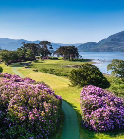 Scenic view of lush greenery and vibrant flowers by a tranquil lake and mountains in Killarney.