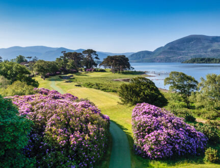 Scenic view of lush greenery and vibrant flowers by a tranquil lake and mountains in Killarney.