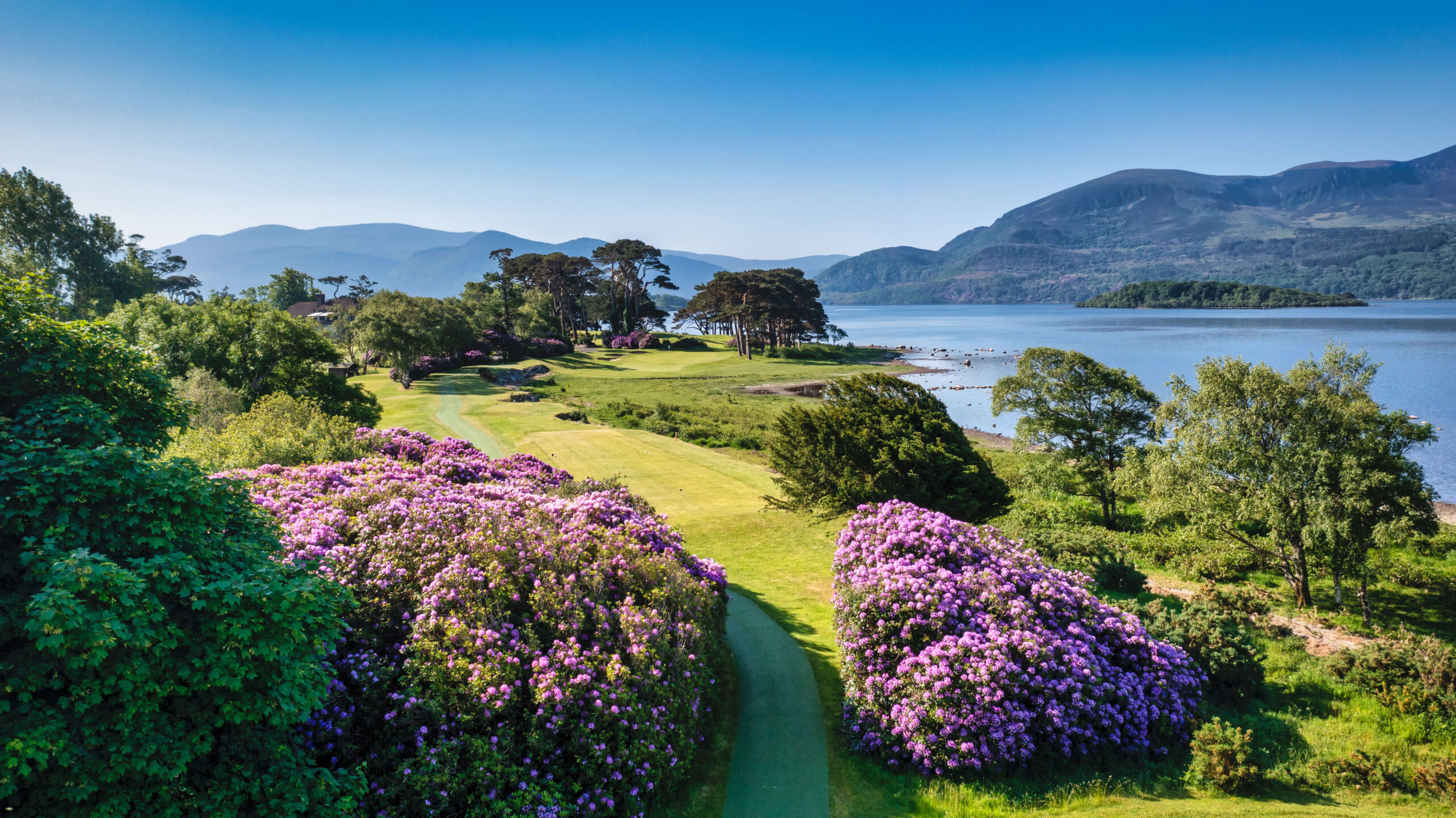 Scenic view of lush greenery and vibrant flowers by a tranquil lake and mountains in Killarney.