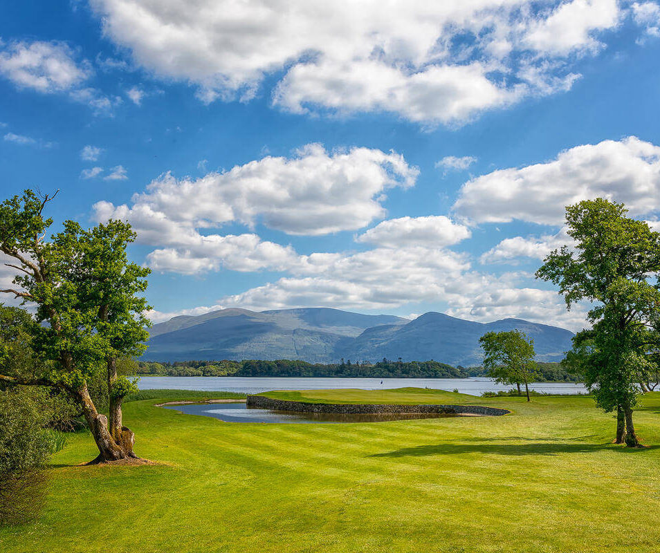 Lush green landscape with trees by a serene lake under a bright blue sky in Killarney, Ireland.