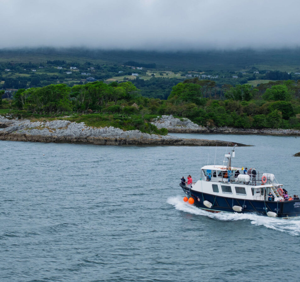 A boat with tourists tours a scenic, lush coastline under a misty sky.