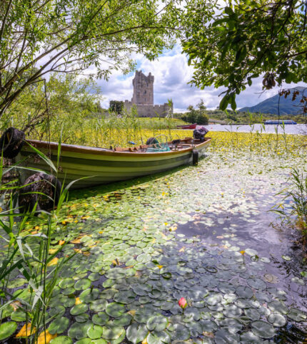 Family enjoying a tranquil boat ride by lush greenery near Killarney's scenic shore.