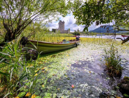 Family enjoying a tranquil boat ride by lush greenery near Killarney's scenic shore.