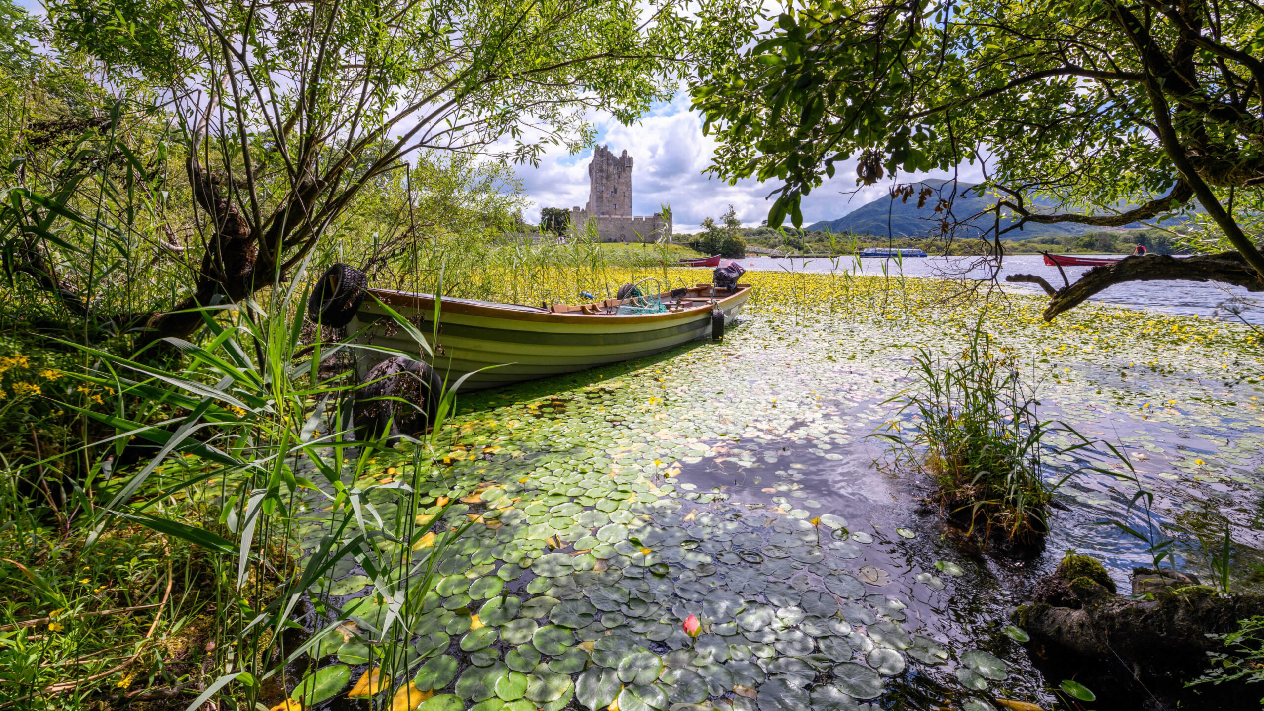 Family enjoying a tranquil boat ride by lush greenery near Killarney's scenic shore.
