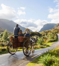Family enjoying a scenic horse-drawn carriage ride in Killarney National Park.