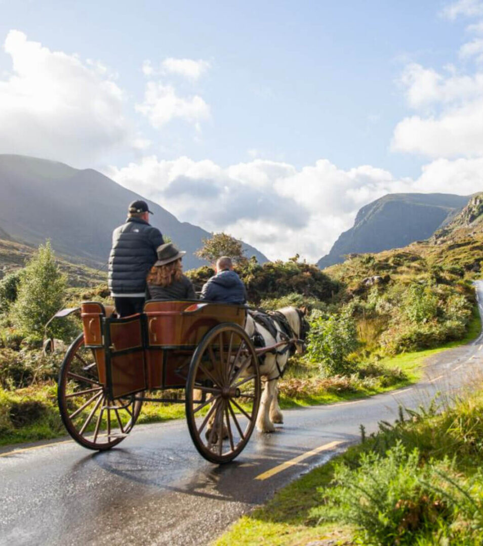 Family enjoying a scenic horse-drawn carriage ride in Killarney National Park.