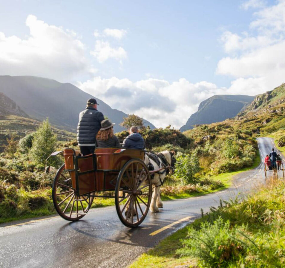 A family enjoys a horse-drawn carriage ride through lush green hills near Killarney.