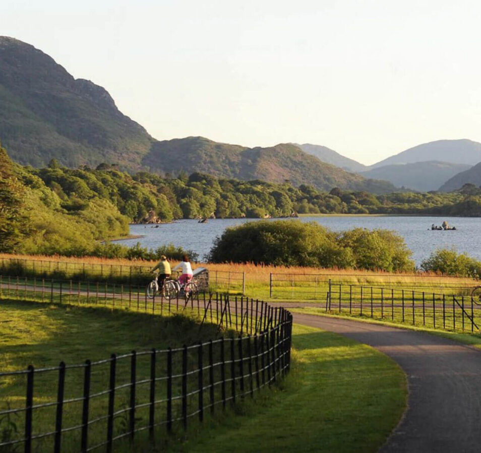 A family cycles along a scenic path beside a lake and hills near Killarney.