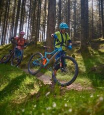 A couple cycling through a sunlit forest near Killarney town, enjoying the lush greenery.