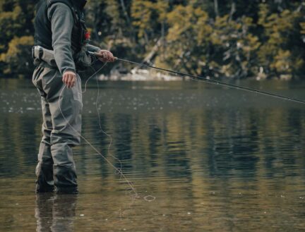 Person fly fishing in a tranquil lake surrounded by lush greenery.