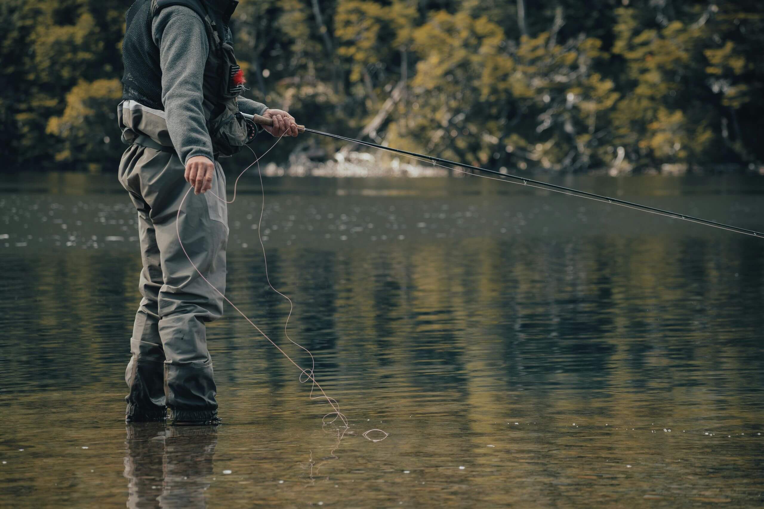 Person fly fishing in a tranquil lake surrounded by lush greenery.