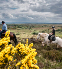 Couple horse riding through scenic countryside near Killarney, surrounded by yellow flowers.