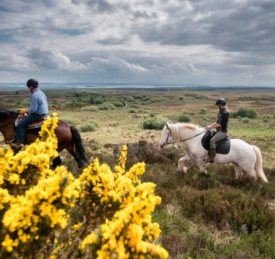 Couple horse riding through scenic countryside near Killarney, surrounded by yellow flowers.