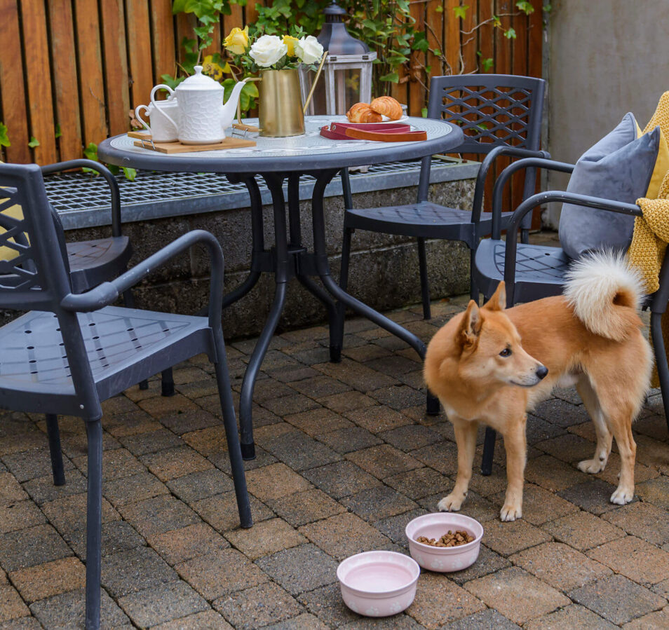 Cosy outdoor seating area with a table set for tea, a yellow blanket on a chair, and a dog nearby.