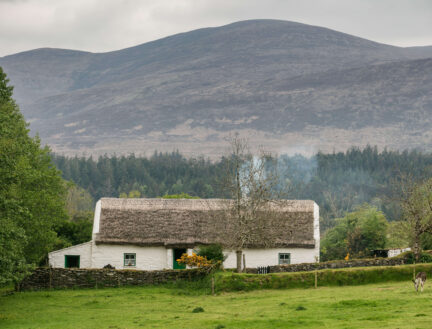 Family exploring lush green fields near cosy cottage with mountain backdrop in Killarney.