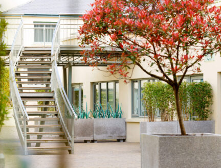 Stylish courtyard with a tree and stairs at Park Place Apartments, Killarney