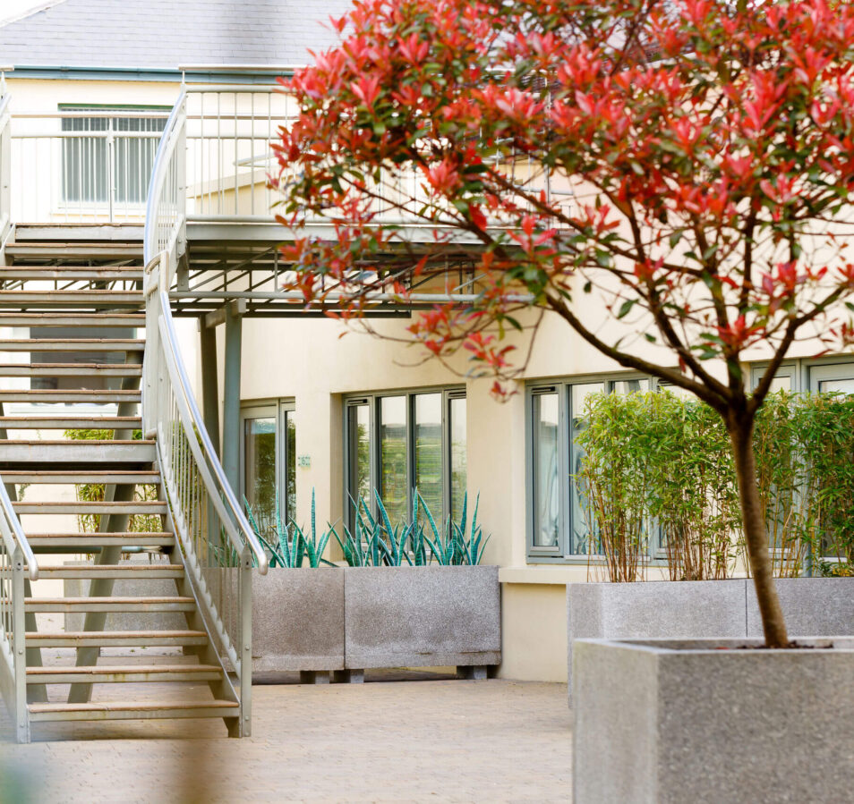 Stylish courtyard with a tree and stairs at Park Place Apartments, Killarney
