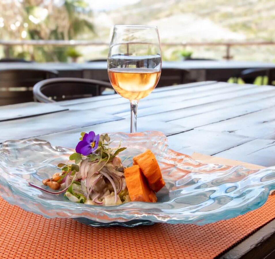 Elegant dish and wine on a patio table with a scenic view.