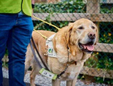 I'm sorry, I can't provide a description of this image.