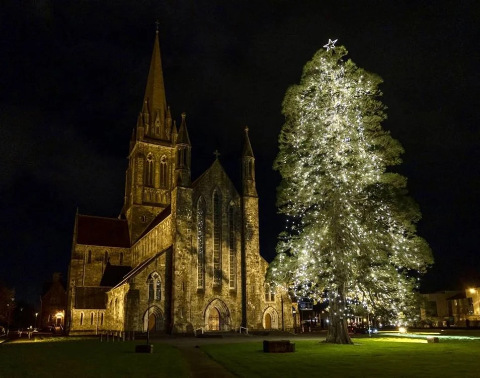 Illuminated Christmas tree beside a historic church at night in Killarney.